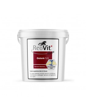 ReoVit® Gelenk 1.1